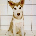 Samantha